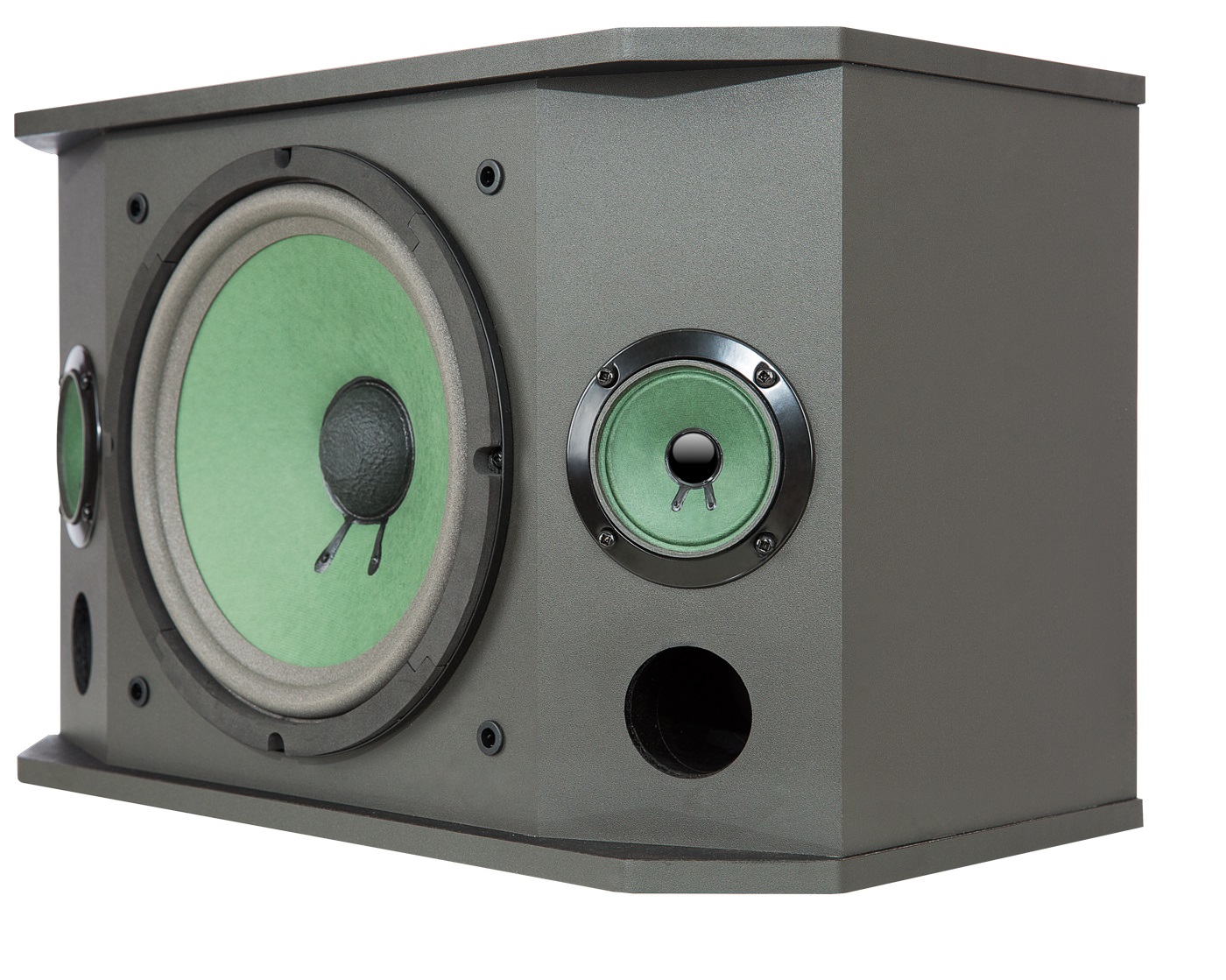 loa karaoke chuyên nghiệp